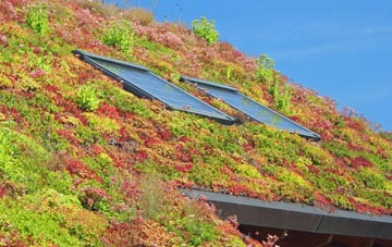South Kirkby living roof systems